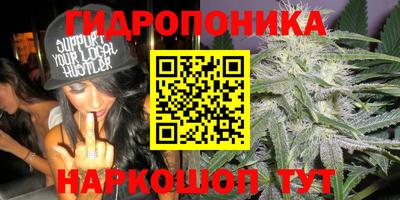 МДМА Камышлов