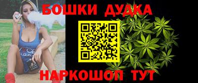 стафф Кандалакша