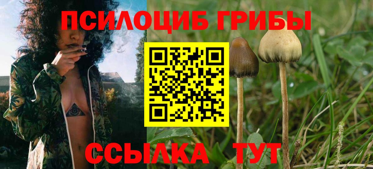 Галлюциногенные грибы прущие грибы Владикавказ