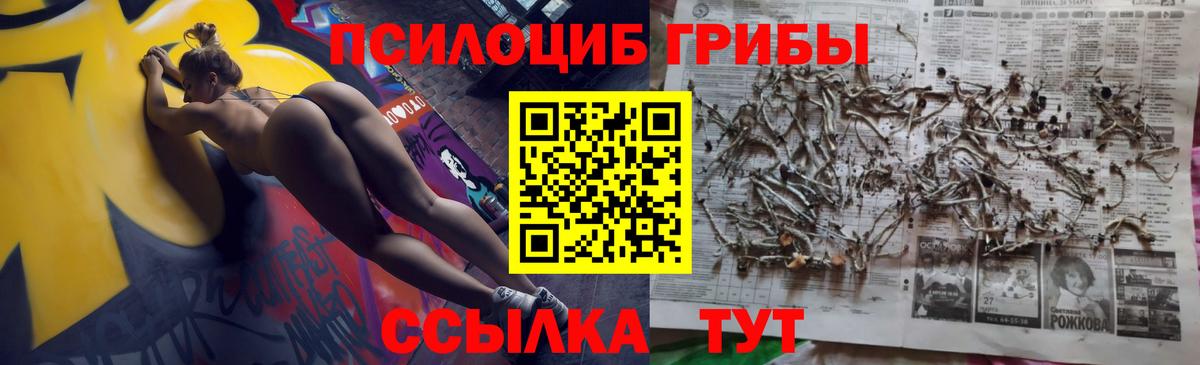 Галлюциногенные грибы Magic Shrooms  Вход с VPN  цена   Владикавказ  Галлюциногенные грибы MAGIC MUSHROOMS 